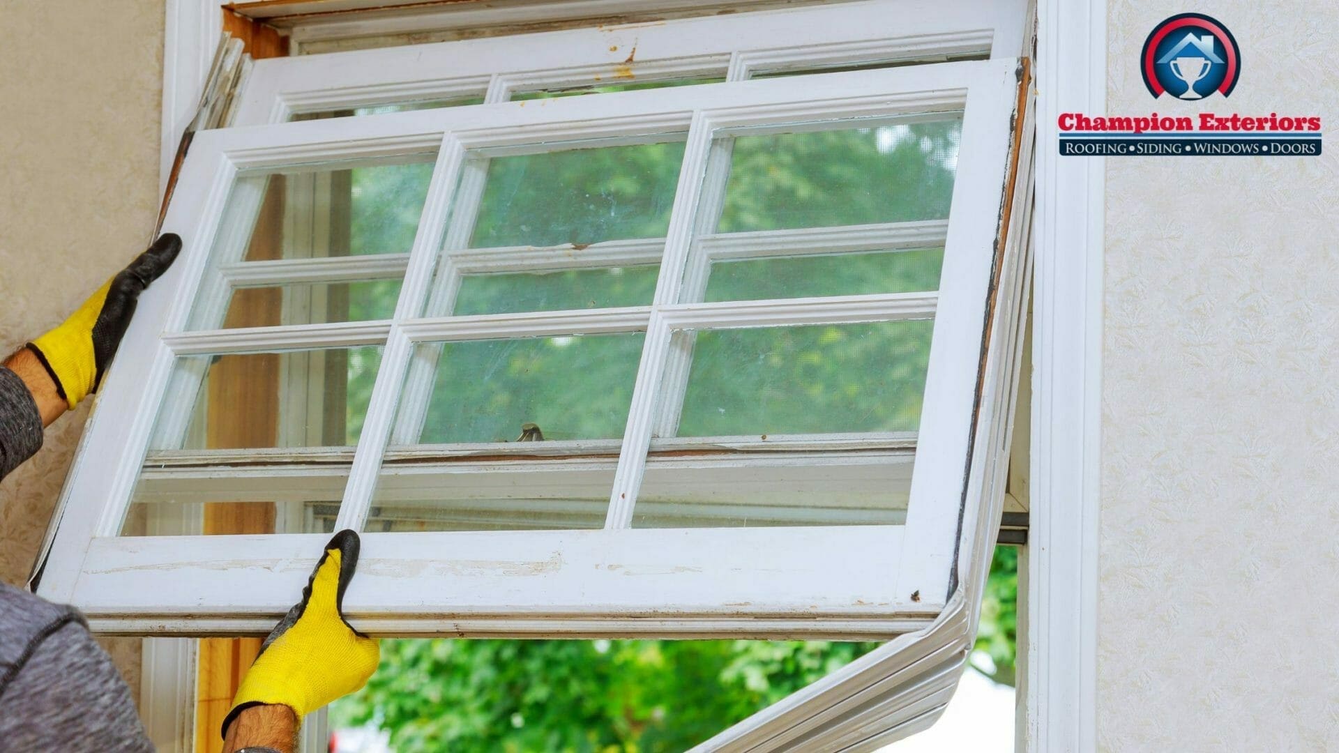 5 Best Replacement Windows You Can Buy in 2022